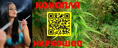 хмурый Кингисепп