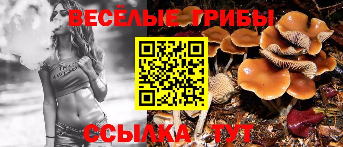 Псилоцибиновые грибы ЛСД  Вход с VPN  Куйбышев 