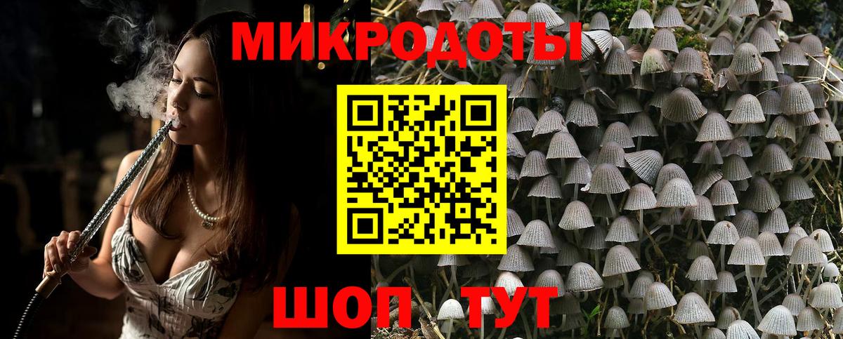 Псилоцибиновые грибы Psilocybine cubensis Куйбышев